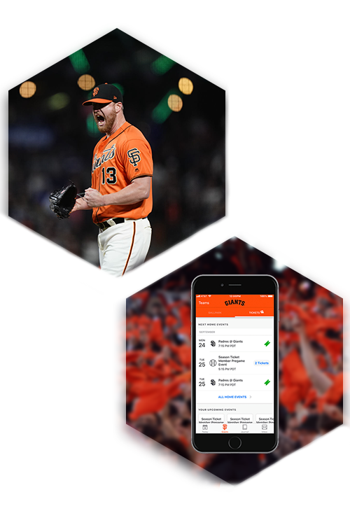 San Francisco Giants Case Study