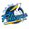 pelicans